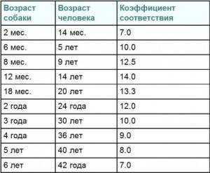 Сколько лет в среднем живут собаки?