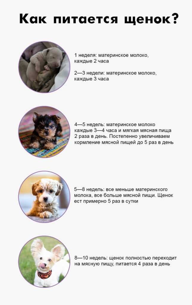 5. Питьевой режим