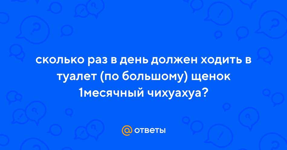 Сколько раз щенку чихуахуа нормально ходить по большому в день?