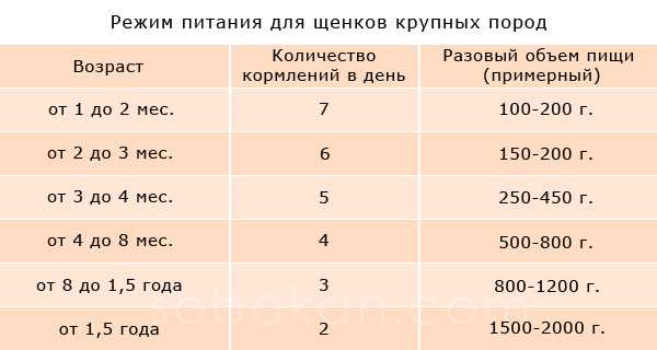 Рекомендации по количеству порций пищи в день для щенка возрастом 2 недели