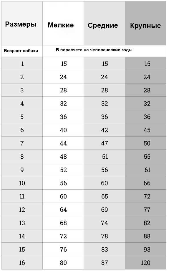 Сколько собаке лет если ей 15 по человечески?