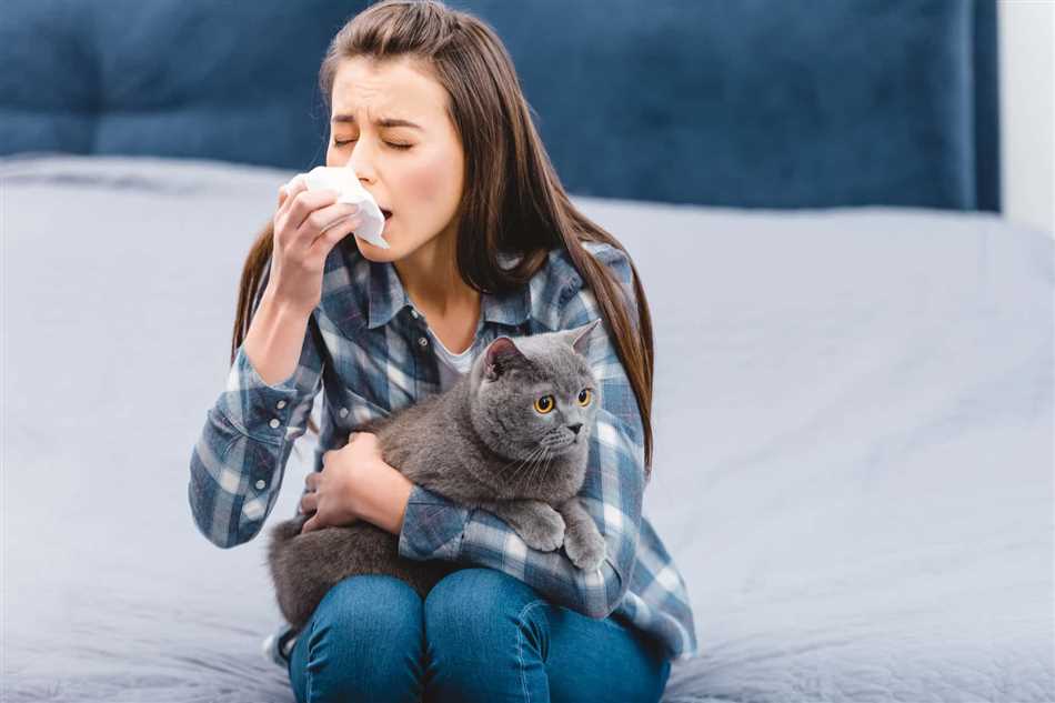 Аллергены кошки: что это такое?