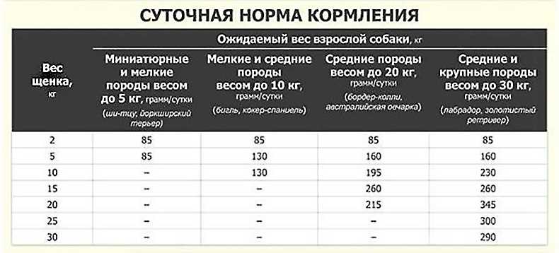 Рекомендации по количеству влажного корма для собак в день