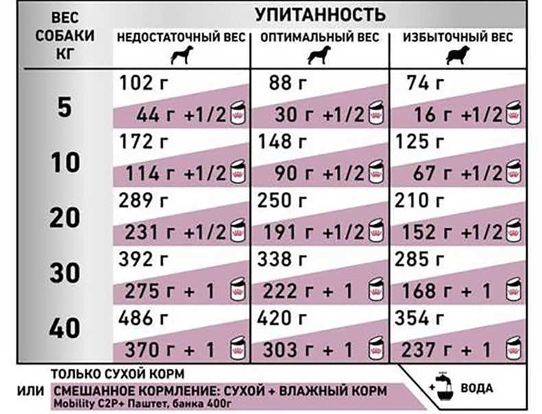 Правильное питание собаки: преимущества влажного корма