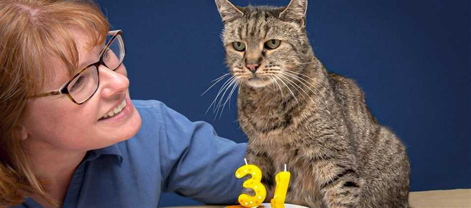 Сколько живут кошки в домашних условиях стерилизованные породистые?