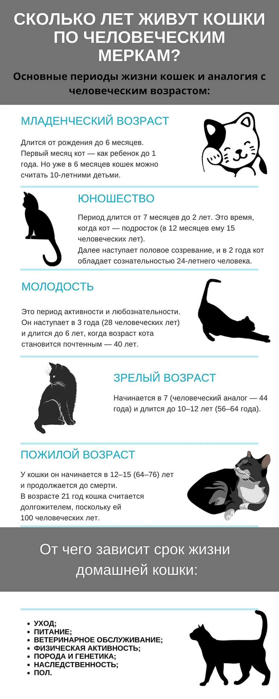 Преимущества стерилизации для здоровья кошек