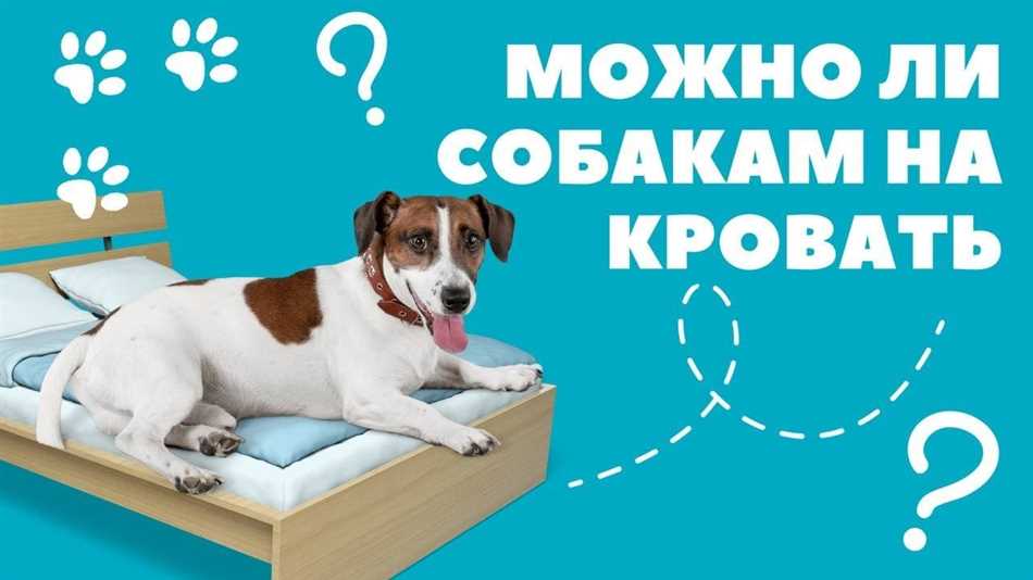 Со скольки месяцев можно оставлять щенка одного дома?