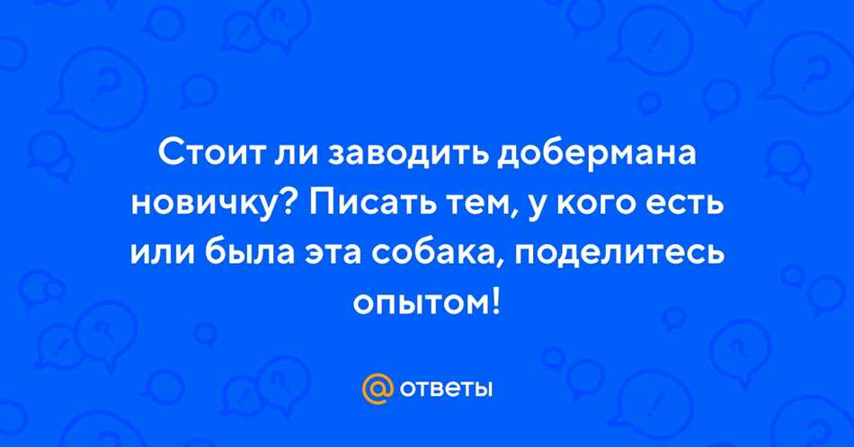 Стоит ли заводить добермана новичку?