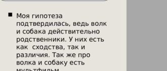 Сходство и различие собаки и волка: основные аспекты