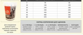 В какое время кормить щенка?