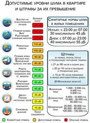 Правила содержания домашних животных и ответственность владельцев