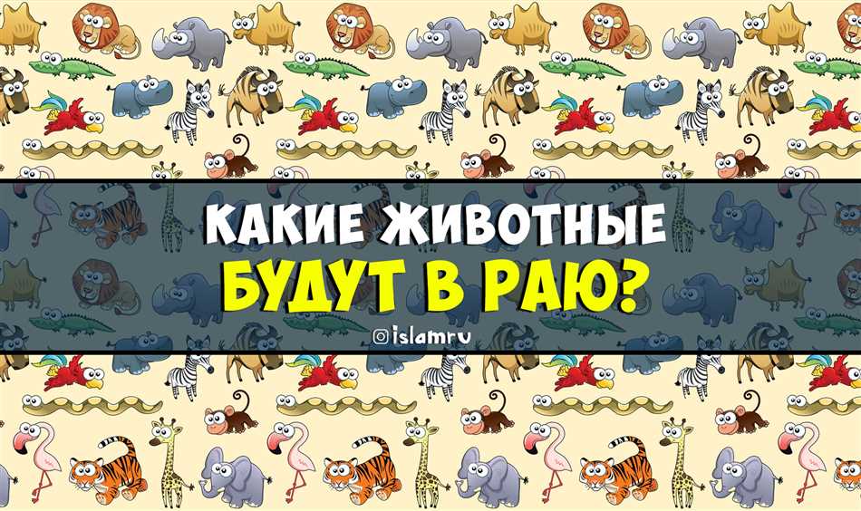 Описание рая в исламе