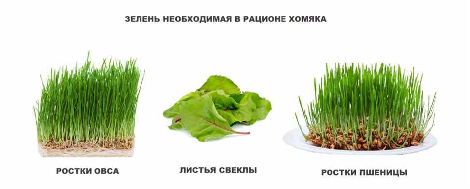 Молочные продукты