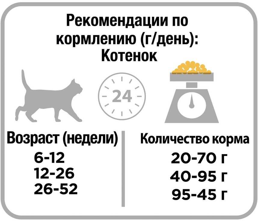 Высокое содержание белка