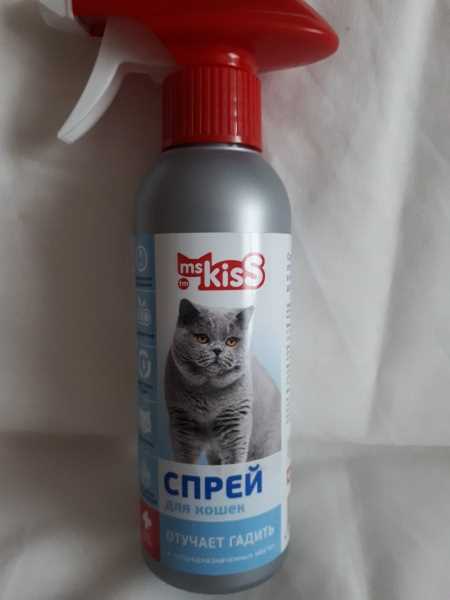 Использование ароматических отпугивателей: Используйте неприятные запахи, которые отпугивают кошек от дивана