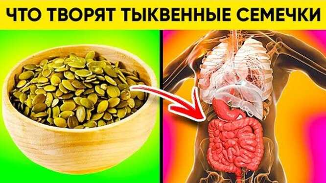 Чем полезны кабачковые семечки?