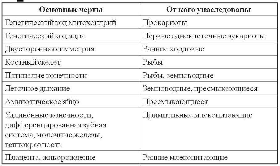 Интеллект и обучаемость