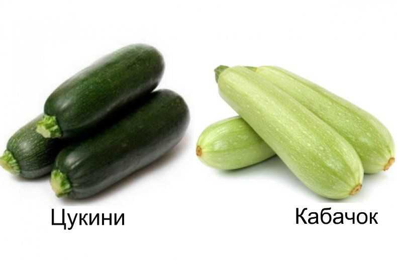 Цуккини