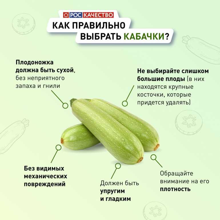 Раздел 1: Выращивание и уход за кабачками