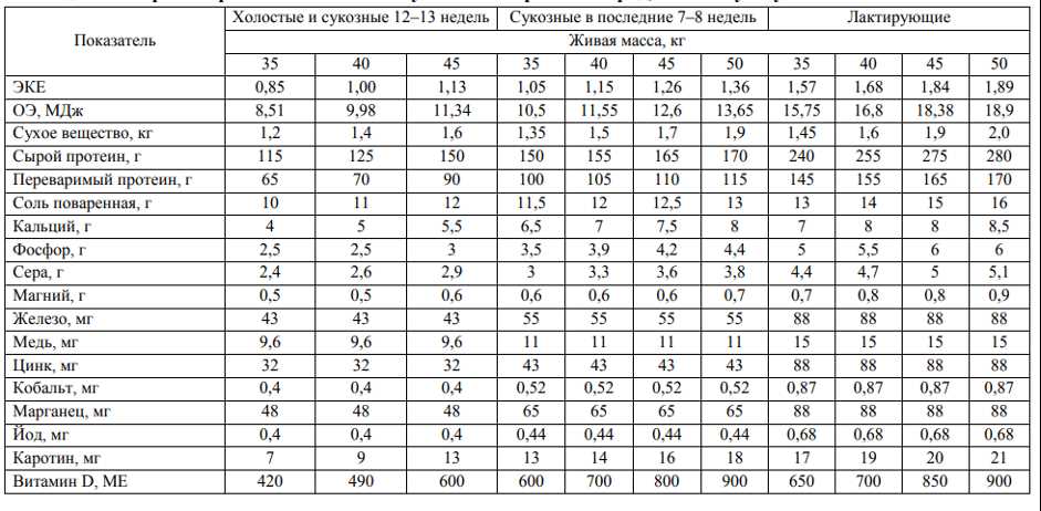 Зерновые и концентраты: что не надо давать козам?