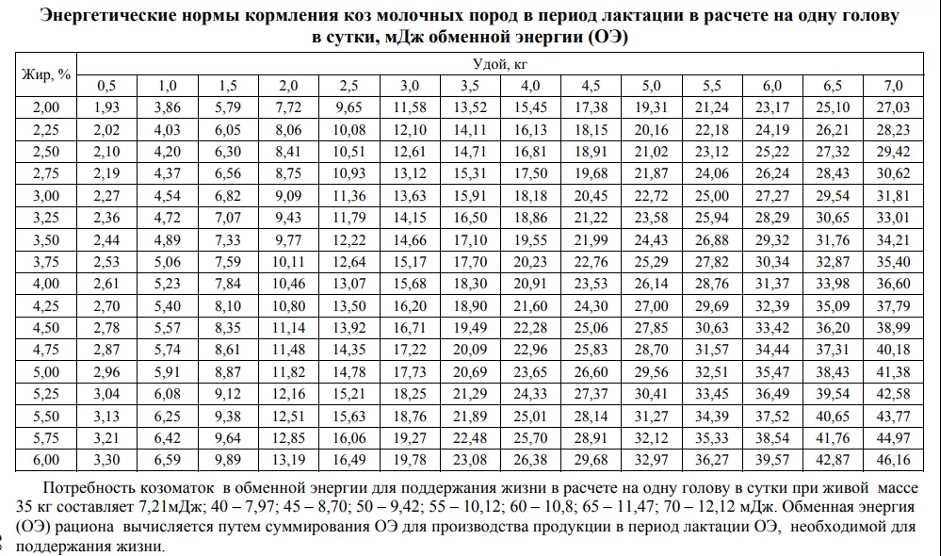 Главное опасные продукты для коз