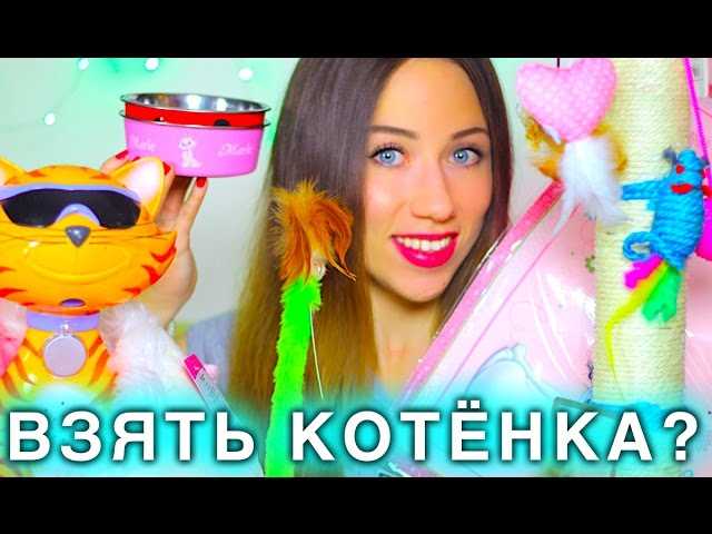 Что нужно для появления котёнка в квартире?