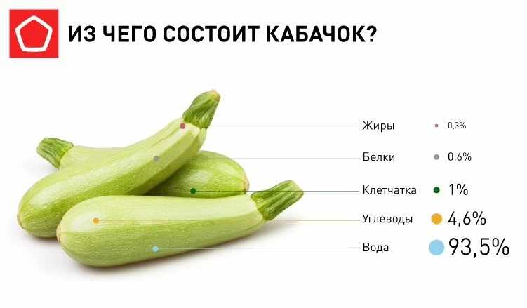 Что содержится в кабачках?