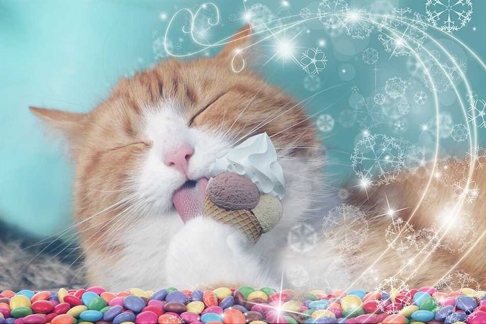 Влияние сладкого на здоровье кошки