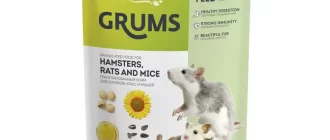 Крысы и хомяки: конкуренты или друзья?
