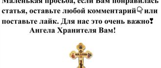 Молитва за больных домашних животных: что говорит Библия о молитве за животных?