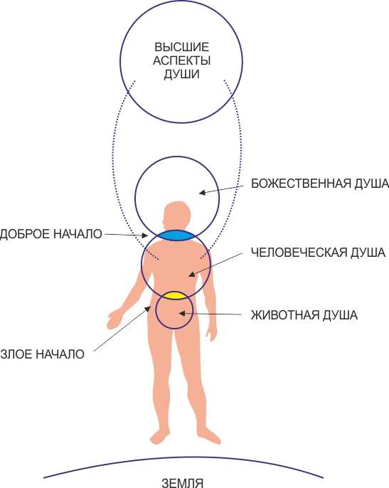 Где находится душа в человеке?