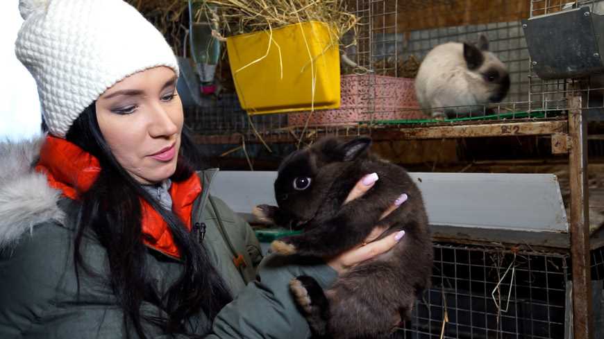 Как часто кормить кроликов капустой?