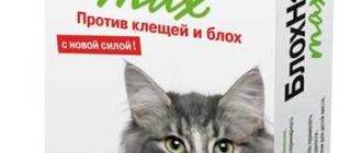 Как действует препарат от блох для кошек: капли и их эффективность