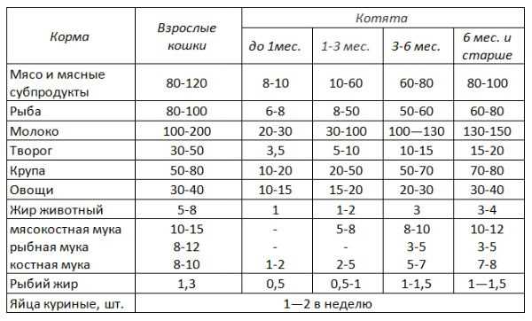 Как кормить котёнка 3 месяца натуральной едой?