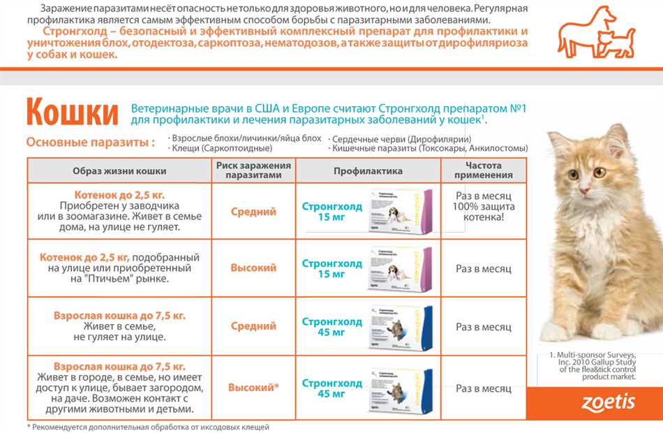 Подготовка кошки