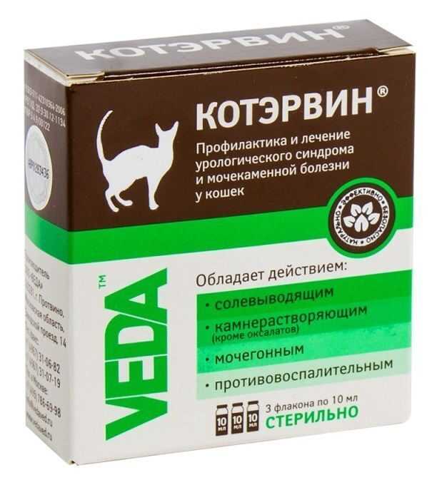 Как применять котэрвин кошкам?