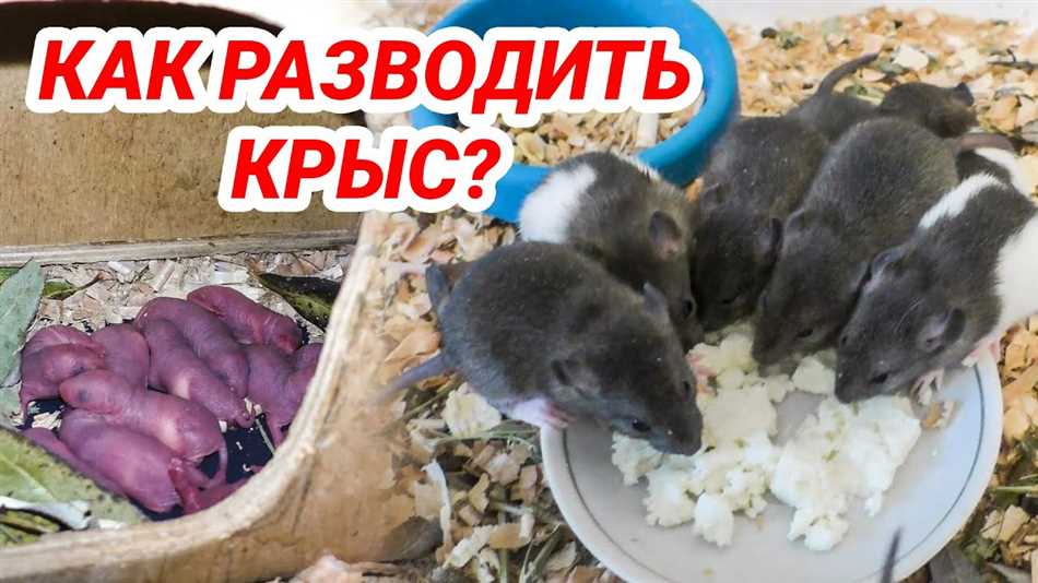 Подбор соответствующих особей