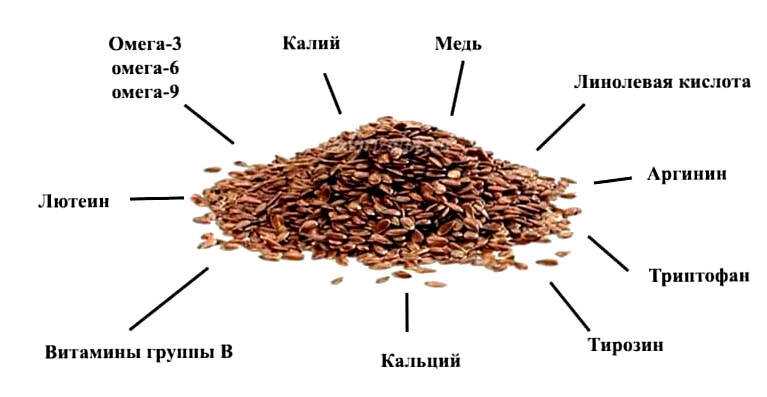 Как выбрать семена льна правильно?