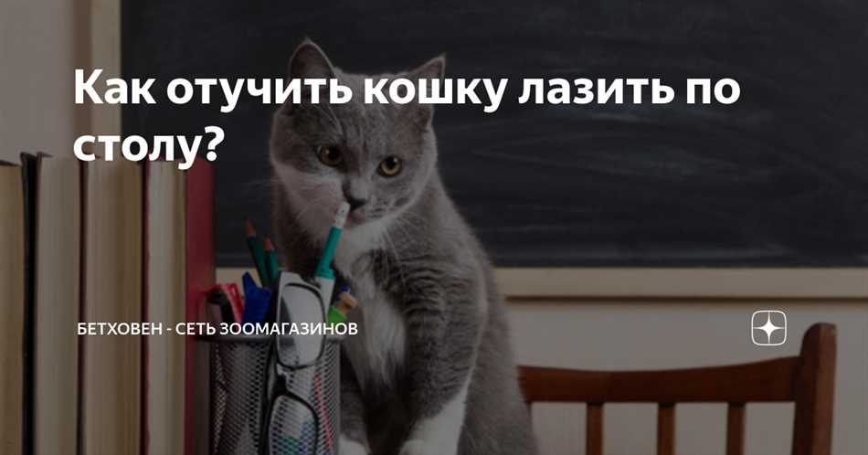 Как запретить кошке лазить на стол?