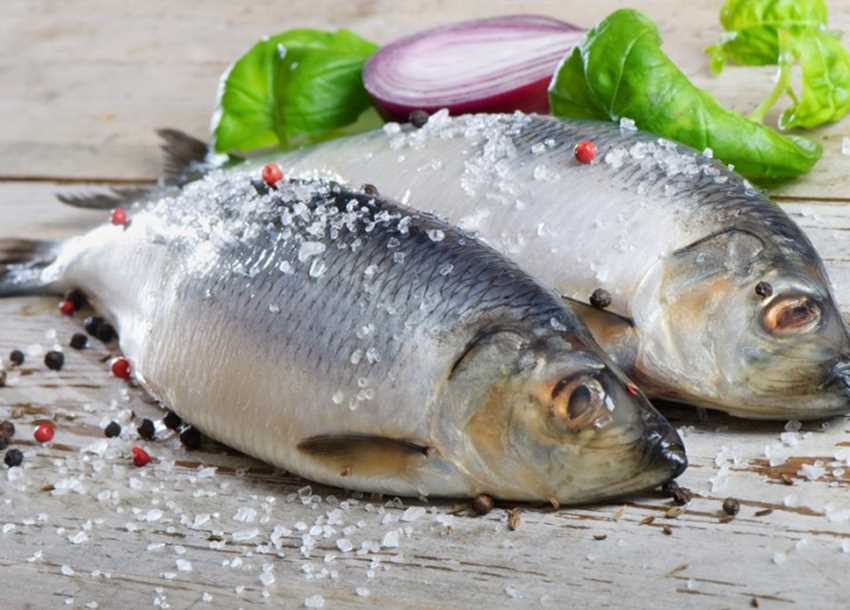 Витамины в жирной рыбе