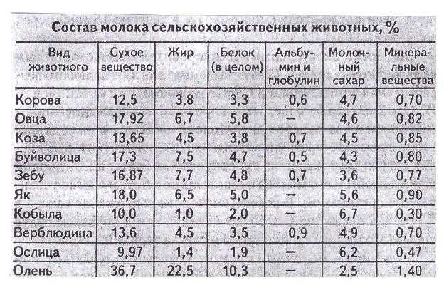 Какая жирность молока у кошки кормящей?