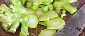 Какие части брокколи можно есть? | Употребление брокколи в пищу