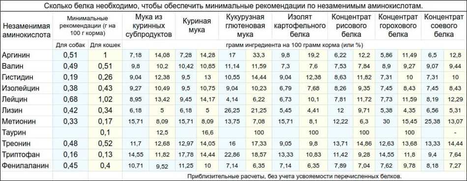 Почему белки важны для собак?