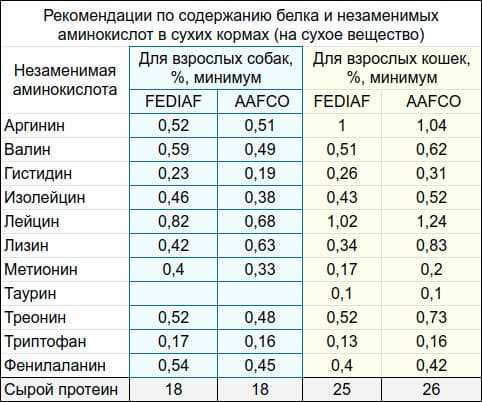 Какие есть белки для собак?