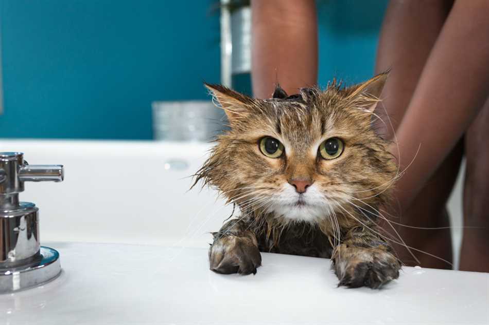 Плохие опыты с водой в прошлом