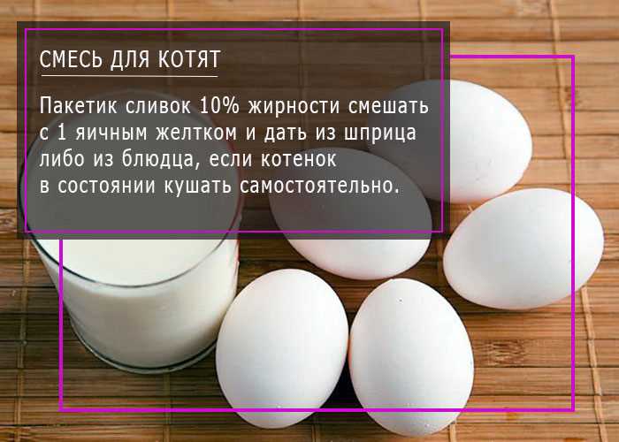 Сочетание 3: Овсянка с мясом