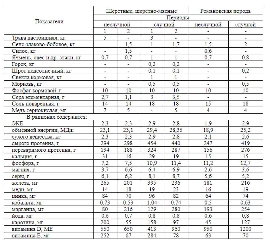 Овцы и их пищеварительная система