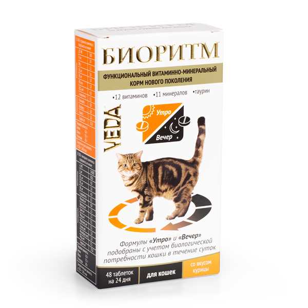 Раздел 1:  Важность витаминов для здоровья кота
