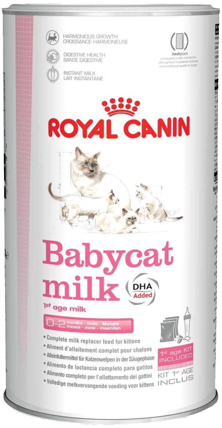 Какой молочной смесью можно кормить котят?