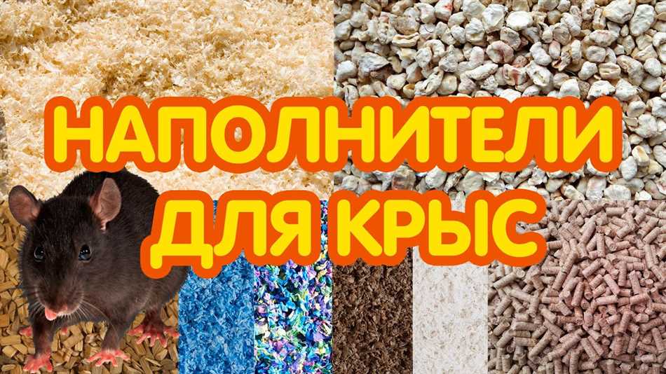 Создание комфортного пространства для крысы